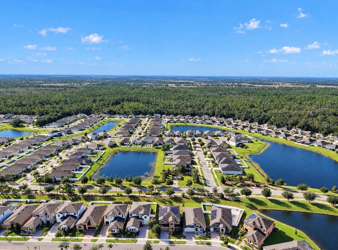 13134 FOXTAIL FERN DRIVE, Riverview, FL 33579 13134 FOXTAIL FERN DRIVE, Riverview, FL 33579