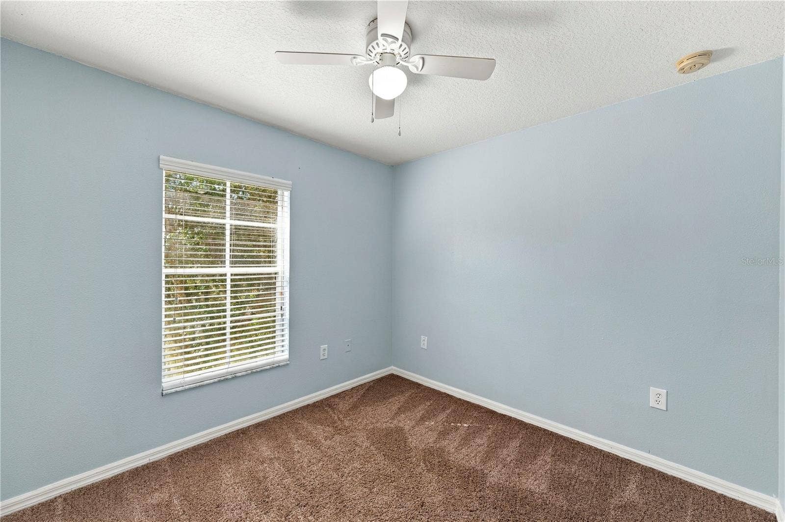 37556 DALIHA TERRACE, Zephyrhills, FL 33542 37556 DALIHA TERRACE, Zephyrhills, FL 33542
