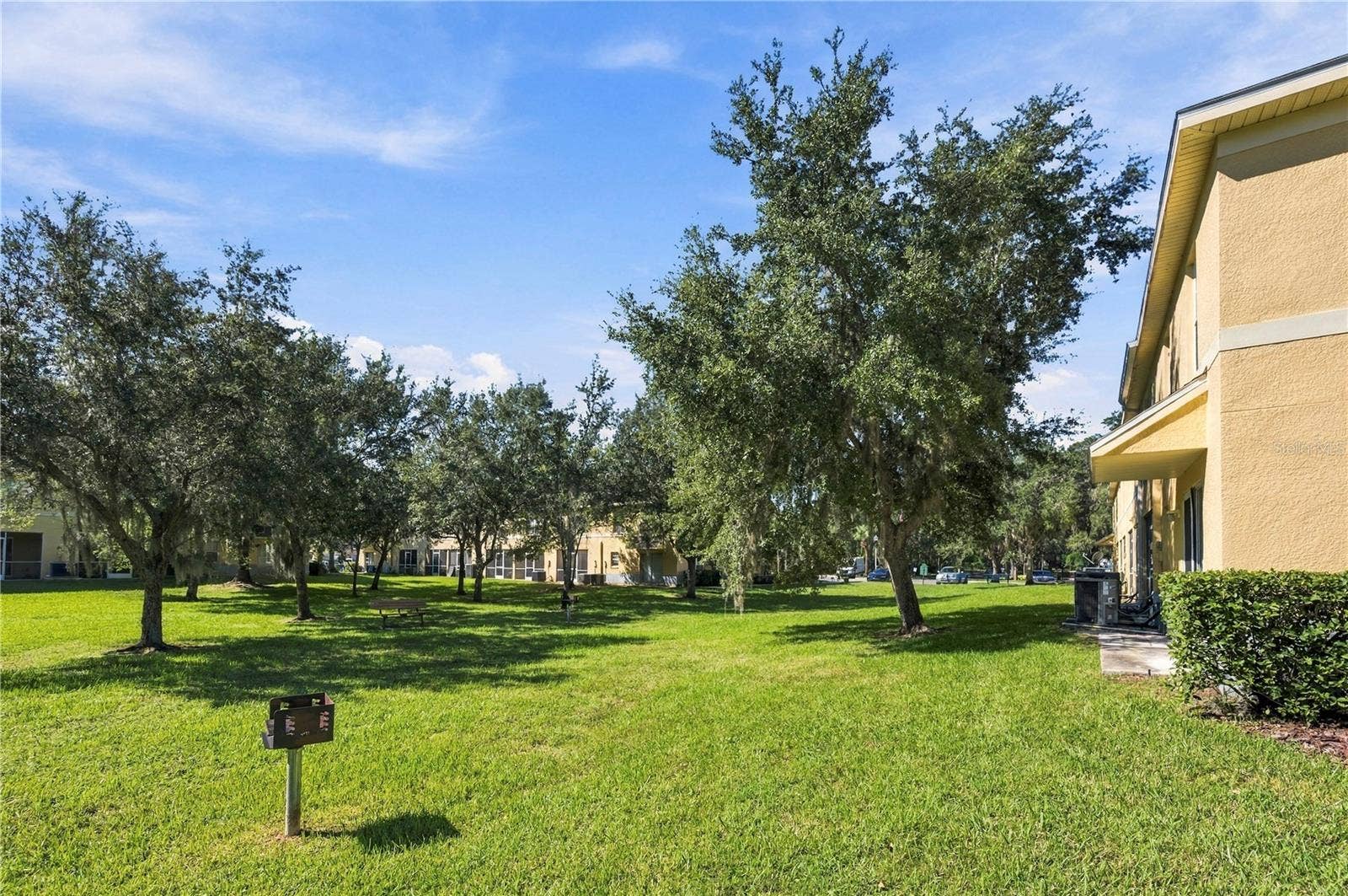 37556 DALIHA TERRACE, Zephyrhills, FL 33542 37556 DALIHA TERRACE, Zephyrhills, FL 33542