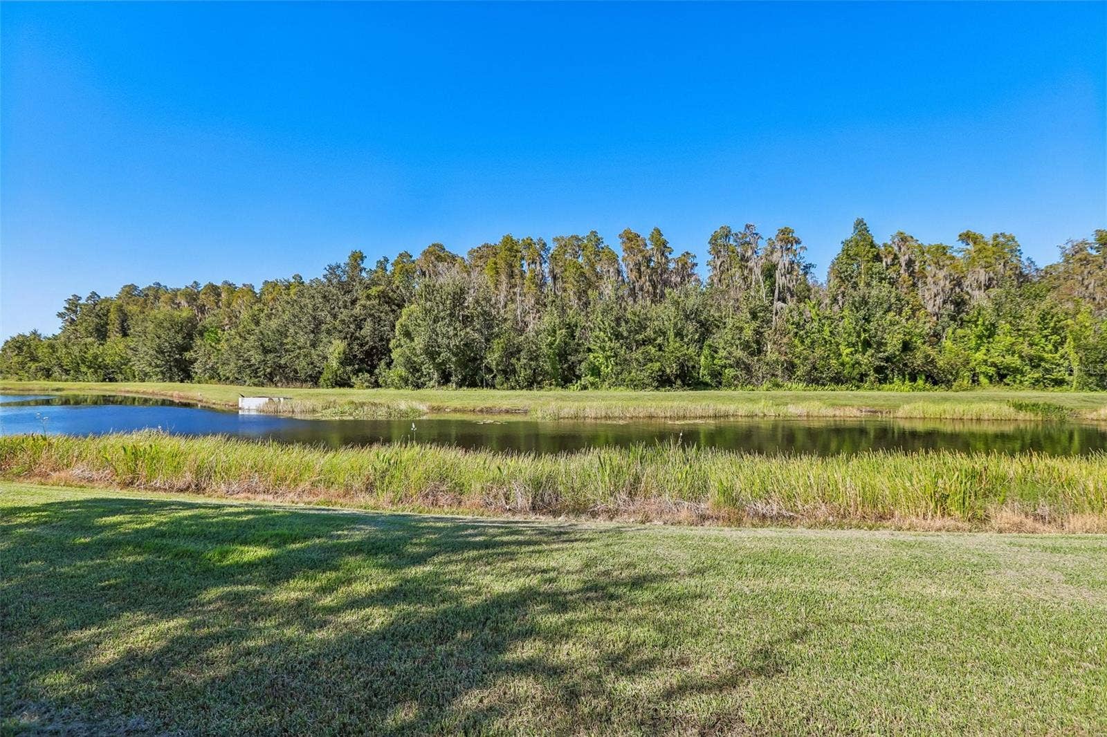 19430 PADDOCK VIEW DRIVE, Tampa, FL 33647