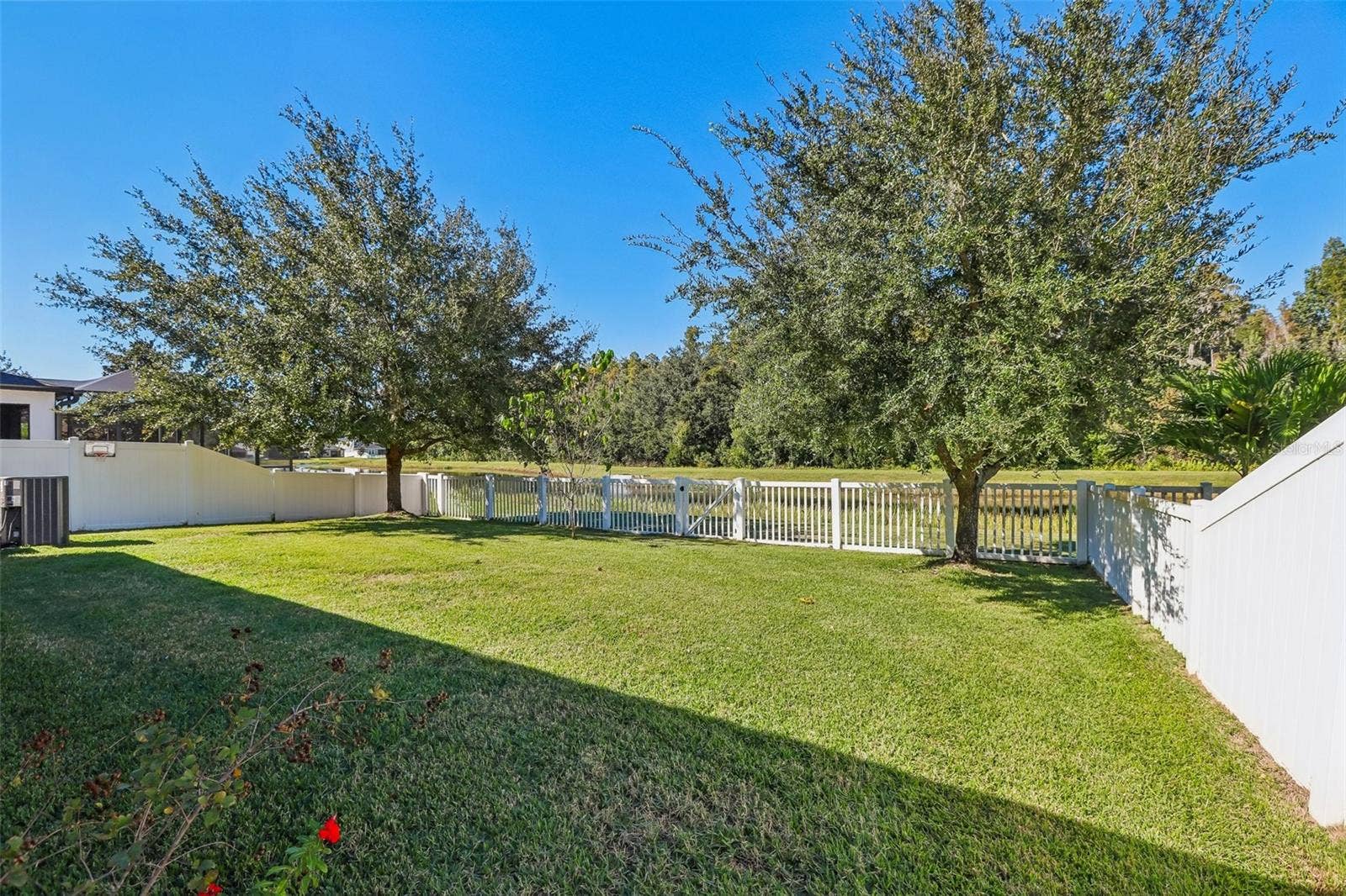 19430 PADDOCK VIEW DRIVE, Tampa, FL 33647
