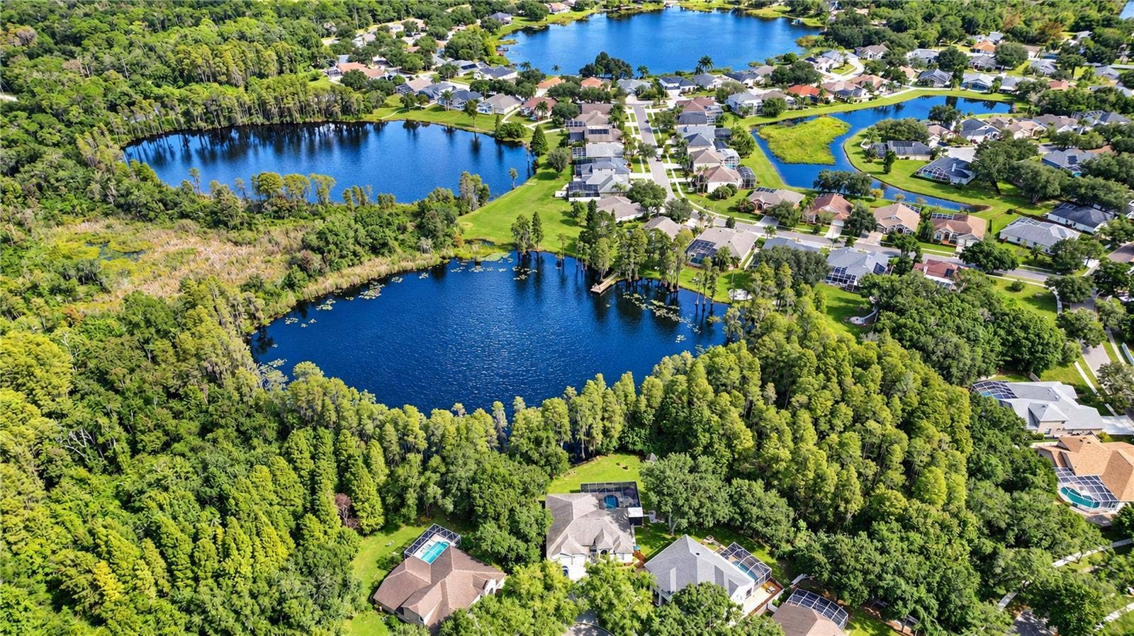 15306 HIDDEN ARBOR COURT, Odessa, FL 33556 15306 HIDDEN ARBOR COURT, Odessa, FL 33556