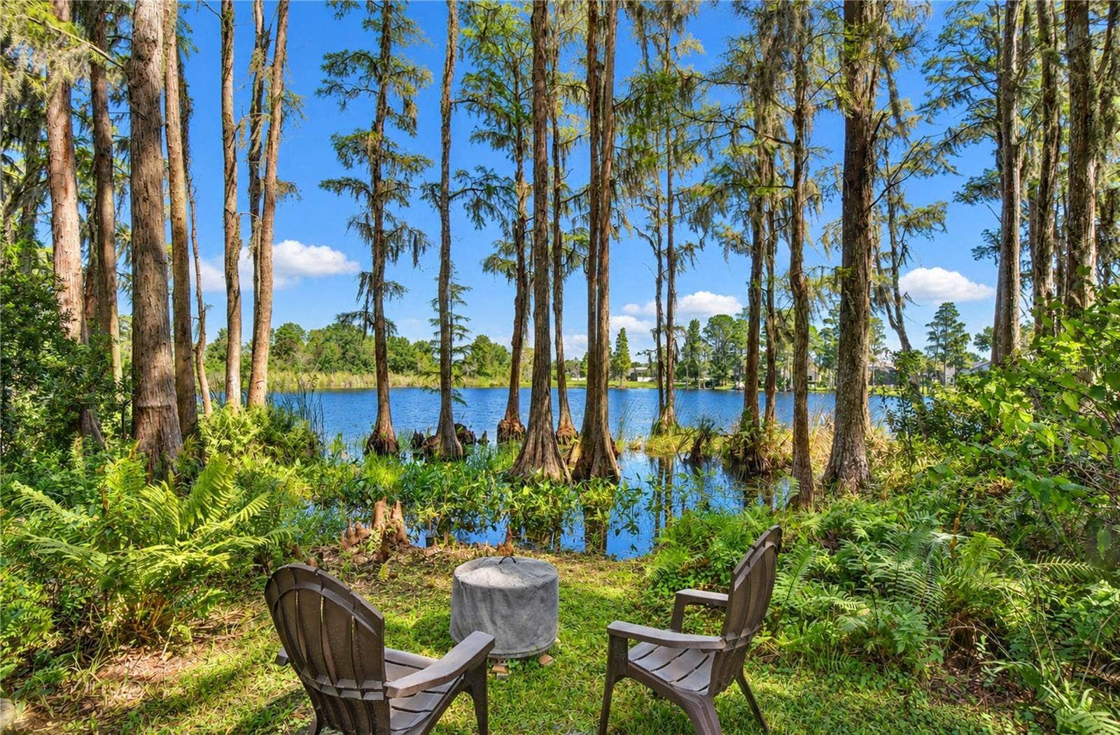 15306 HIDDEN ARBOR COURT, Odessa, FL 33556 15306 HIDDEN ARBOR COURT, Odessa, FL 33556