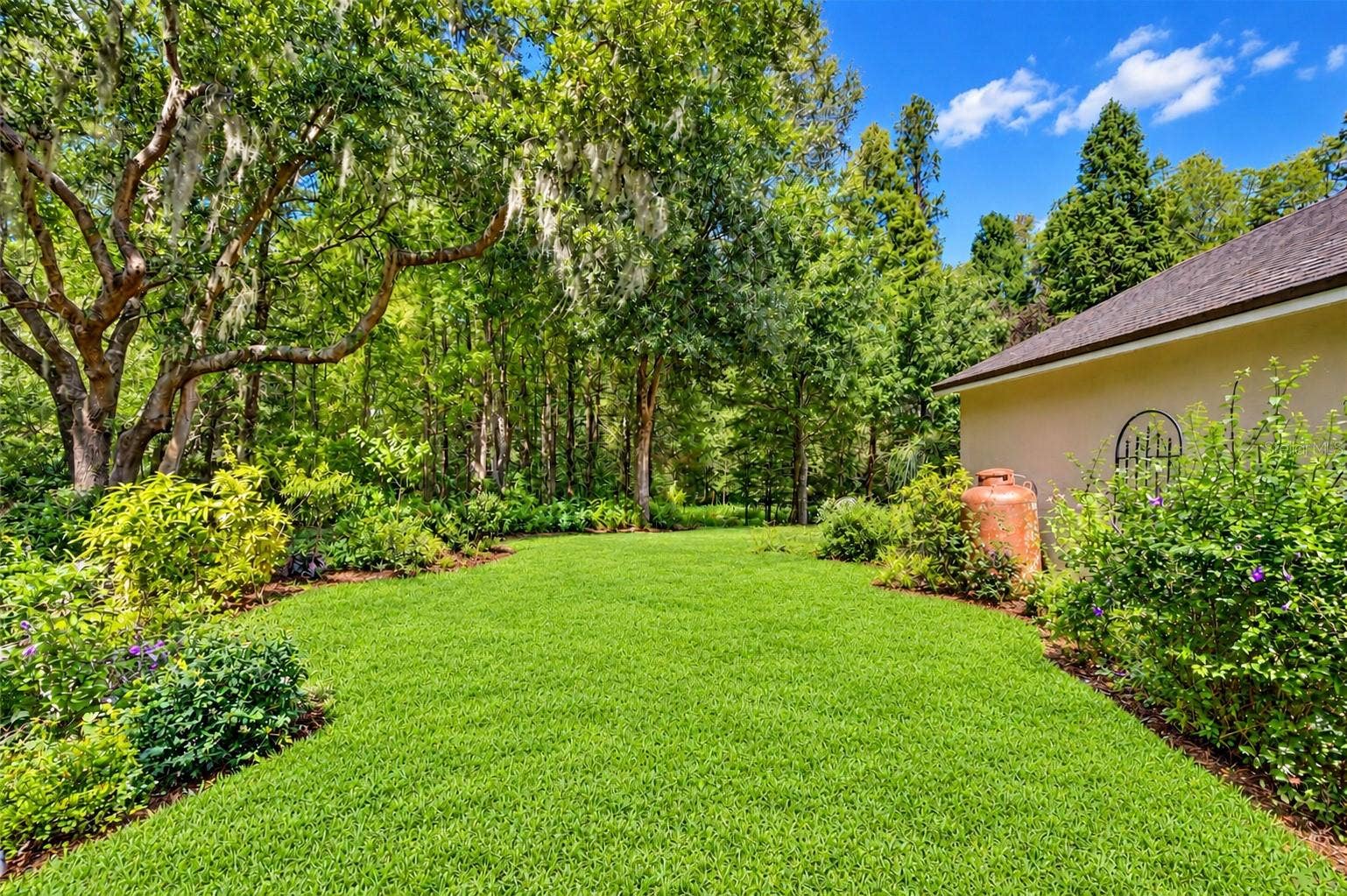 15306 HIDDEN ARBOR COURT, Odessa, FL 33556 15306 HIDDEN ARBOR COURT, Odessa, FL 33556
