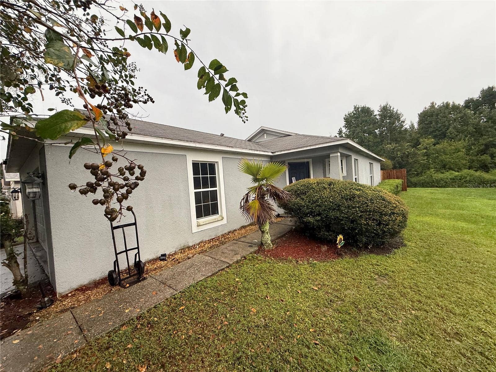 1534 MARSH WOOD DRIVE, Seffner, FL 33584