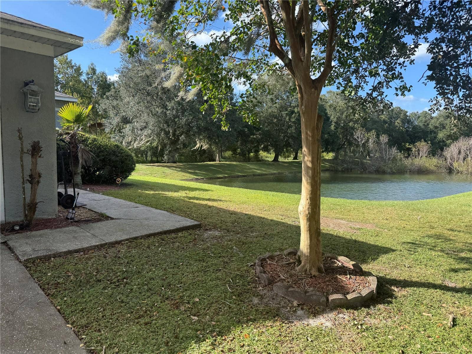1534 MARSH WOOD DRIVE, Seffner, FL 33584