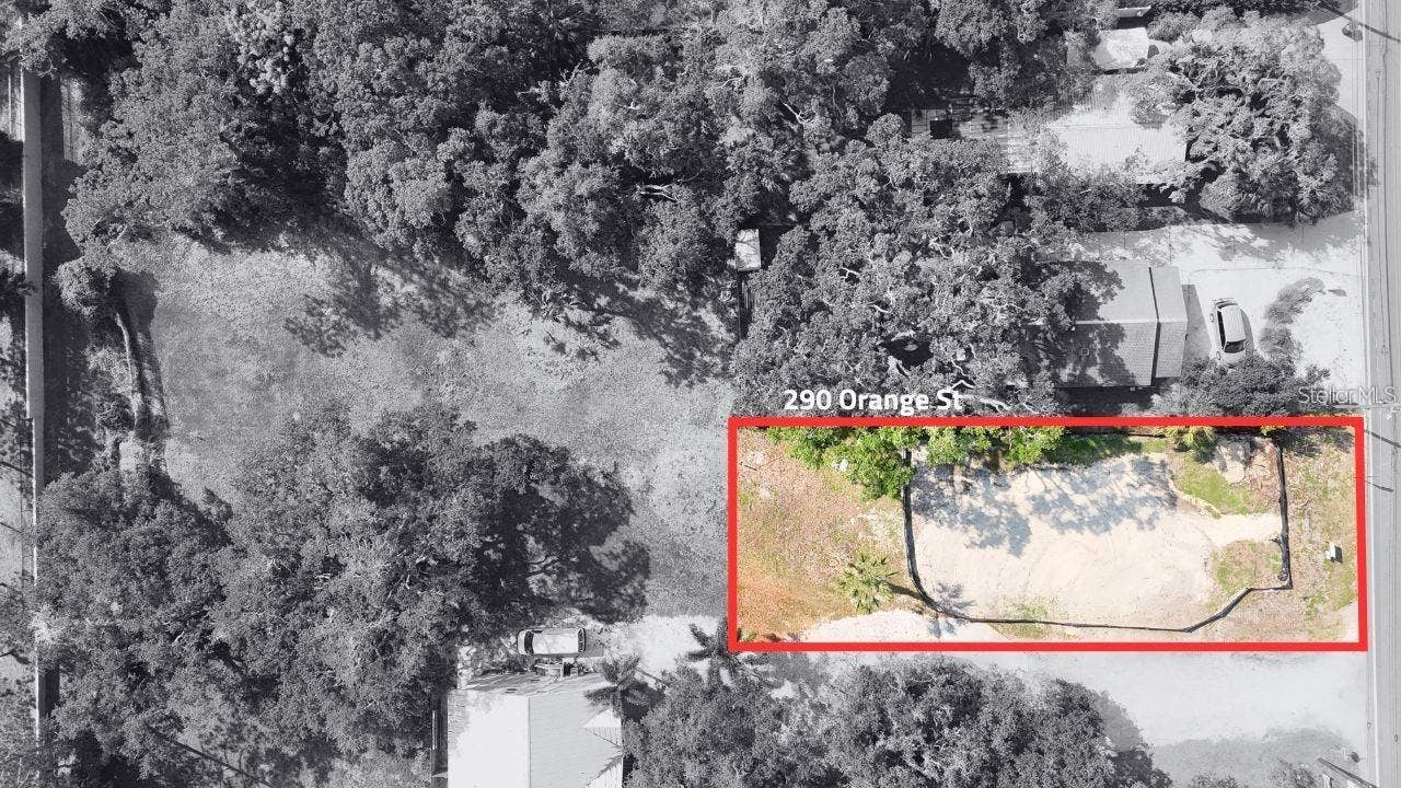 290 ORANGE STREET, Palm Harbor, FL 34683 290 ORANGE STREET, Palm Harbor, FL 34683