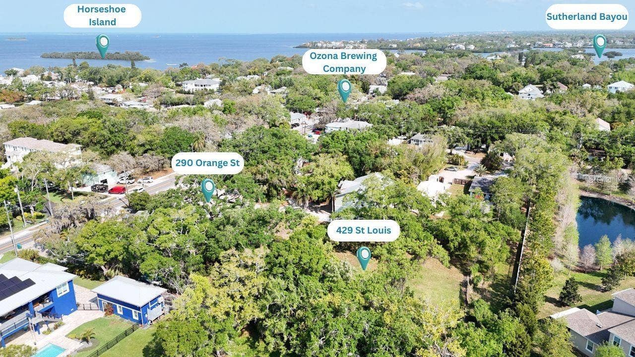 290 ORANGE STREET, Palm Harbor, FL 34683 290 ORANGE STREET, Palm Harbor, FL 34683
