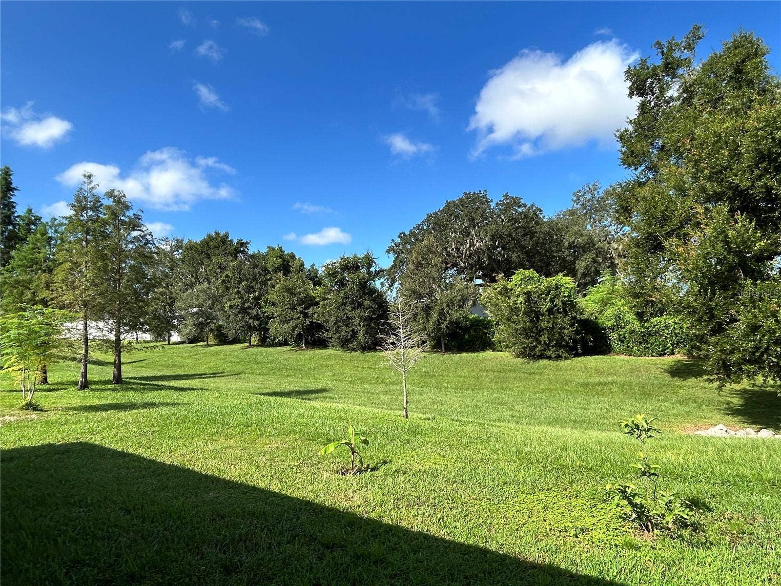 520 VALRI PARK DRIVE, Valrico, FL 33594
