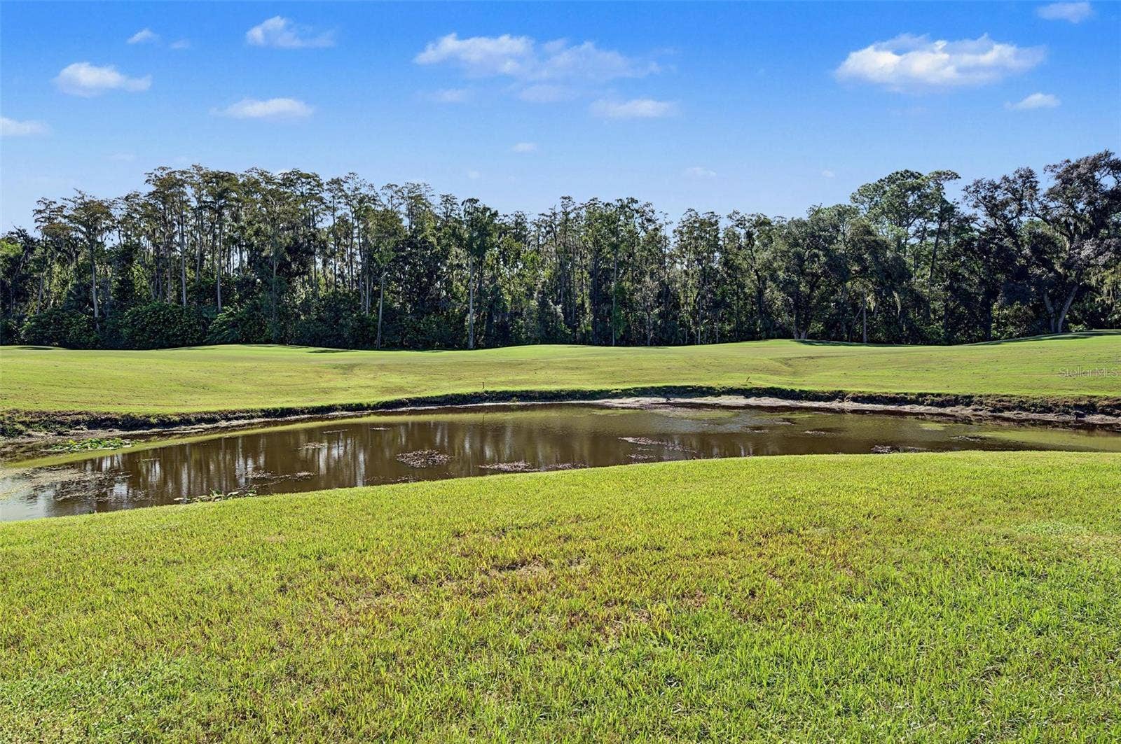 5124 PINNACLE DRIVE, Oldsmar, FL 34677
