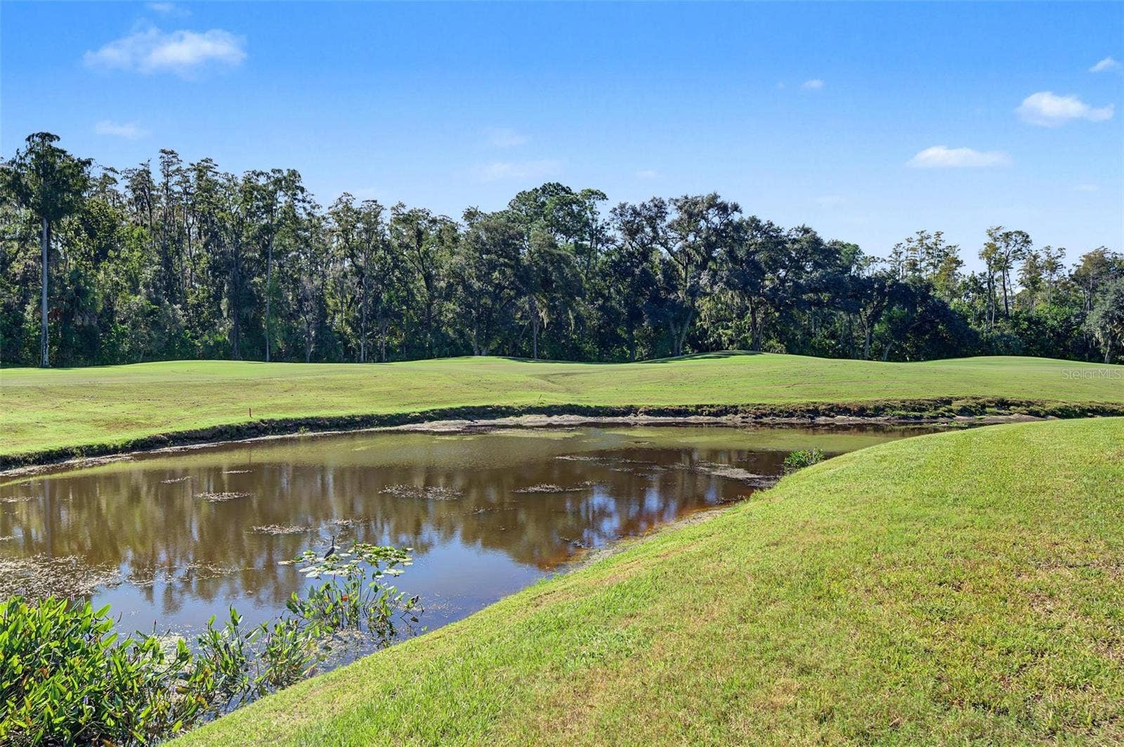 5124 PINNACLE DRIVE, Oldsmar, FL 34677