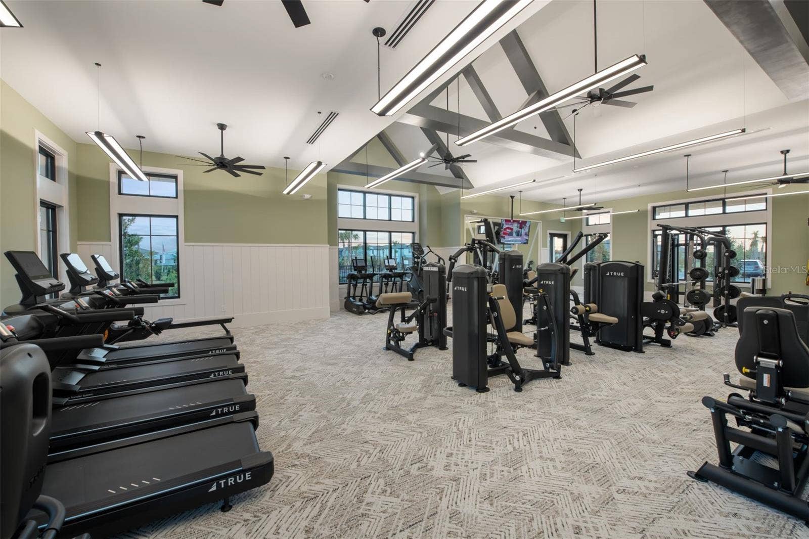 6656 ASBURY BARNES LANE, Wesley Chapel, FL 33545 State of the Art Equipment