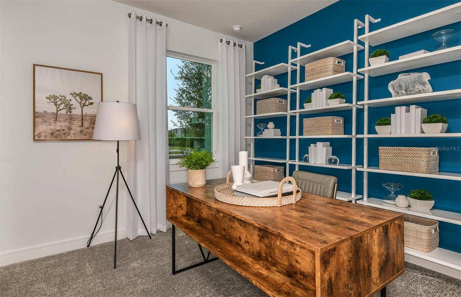 6656 ASBURY BARNES LANE, Wesley Chapel, FL 33545 Model Representation