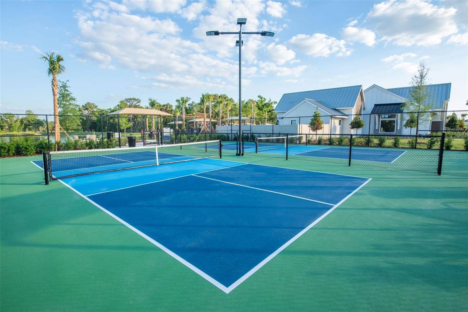 6656 ASBURY BARNES LANE, Wesley Chapel, FL 33545 Pickleball Courts