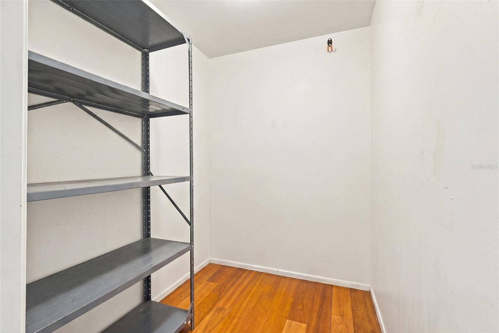 2228 SWEDISH DRIVE, #22, Clearwater, FL 33763 Large walk in storage closet in hallway