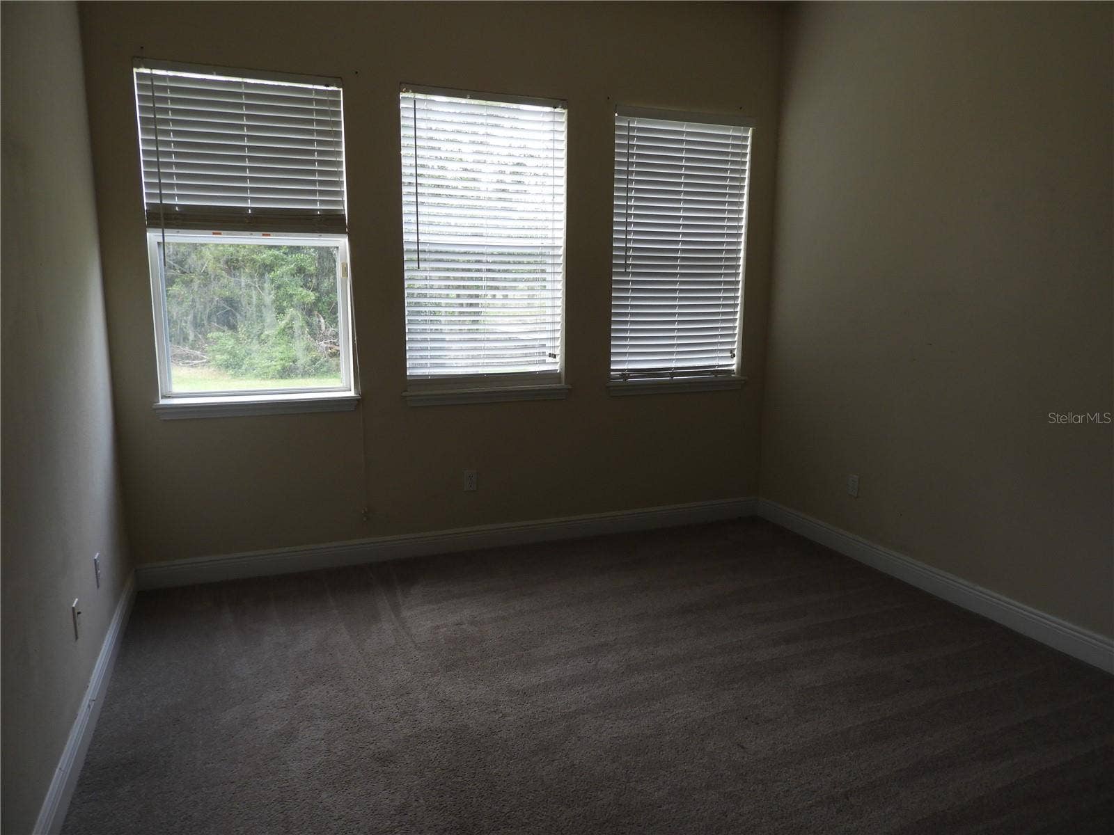 19820 WELLINGTON MANOR BOULEVARD, Lutz, FL 33549 19820 WELLINGTON MANOR BOULEVARD, Lutz, FL 33549