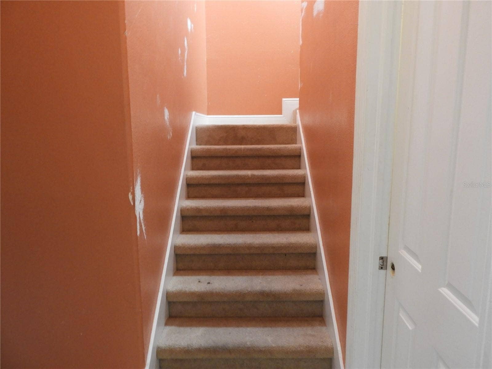 19820 WELLINGTON MANOR BOULEVARD, Lutz, FL 33549 19820 WELLINGTON MANOR BOULEVARD, Lutz, FL 33549