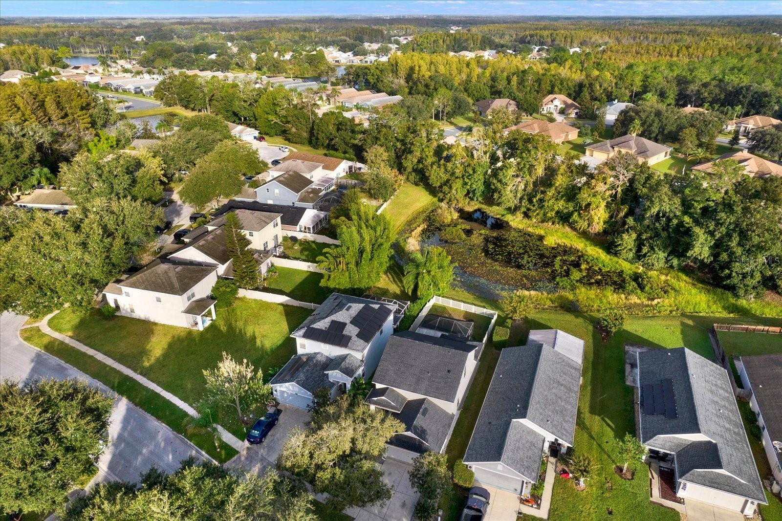 7901 CITRUS BLOSSOM DRIVE, Land O Lakes, FL 34637