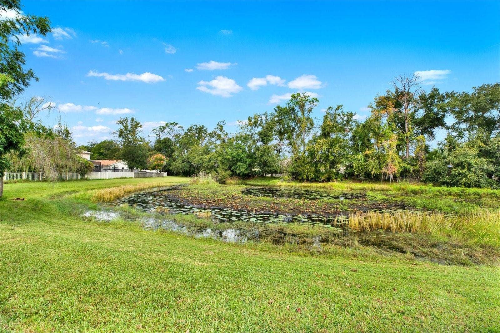 7901 CITRUS BLOSSOM DRIVE, Land O Lakes, FL 34637