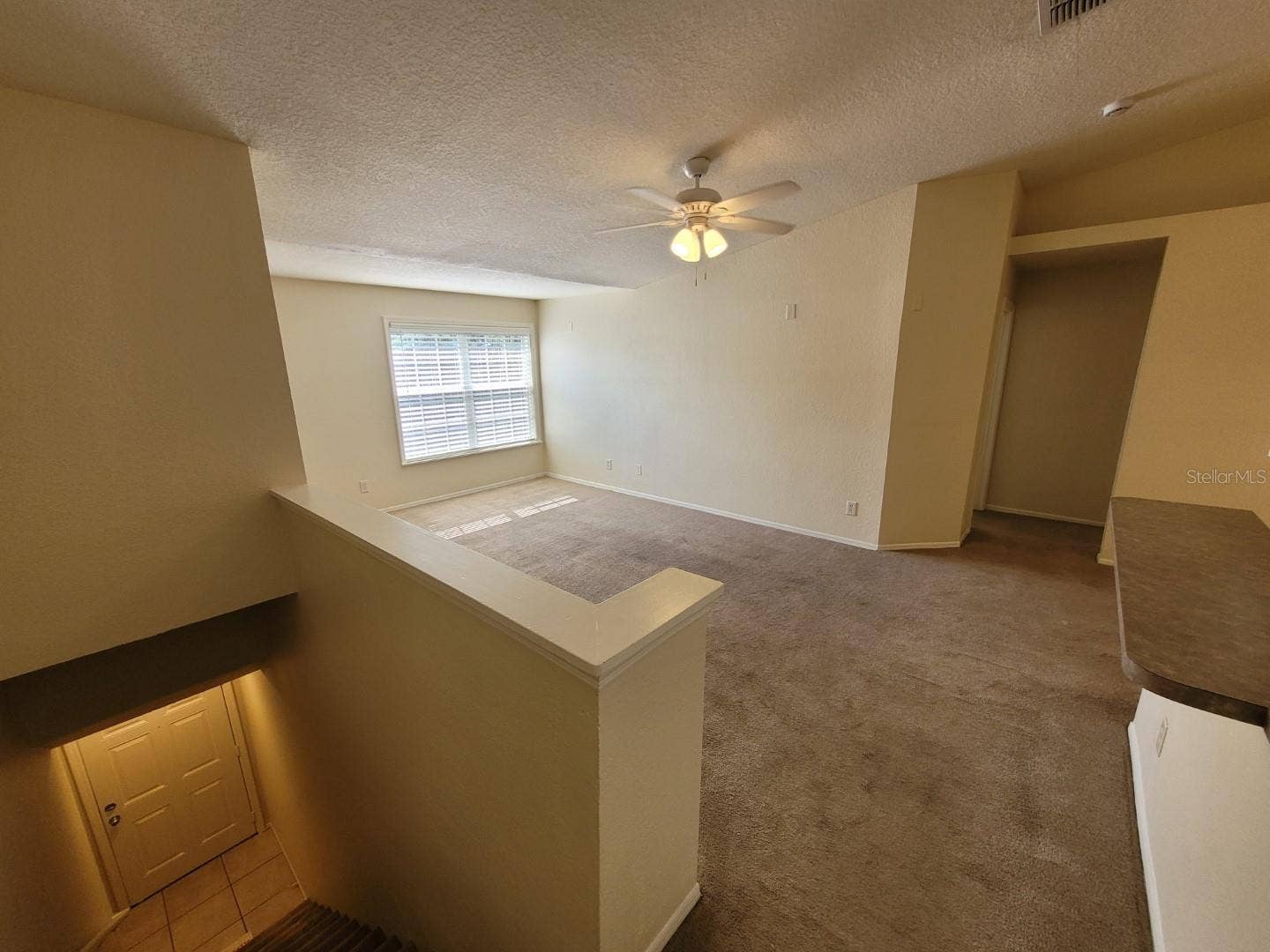 5901 BRICKLEBERRY LANE, #203, Zephyrhills, FL 33541