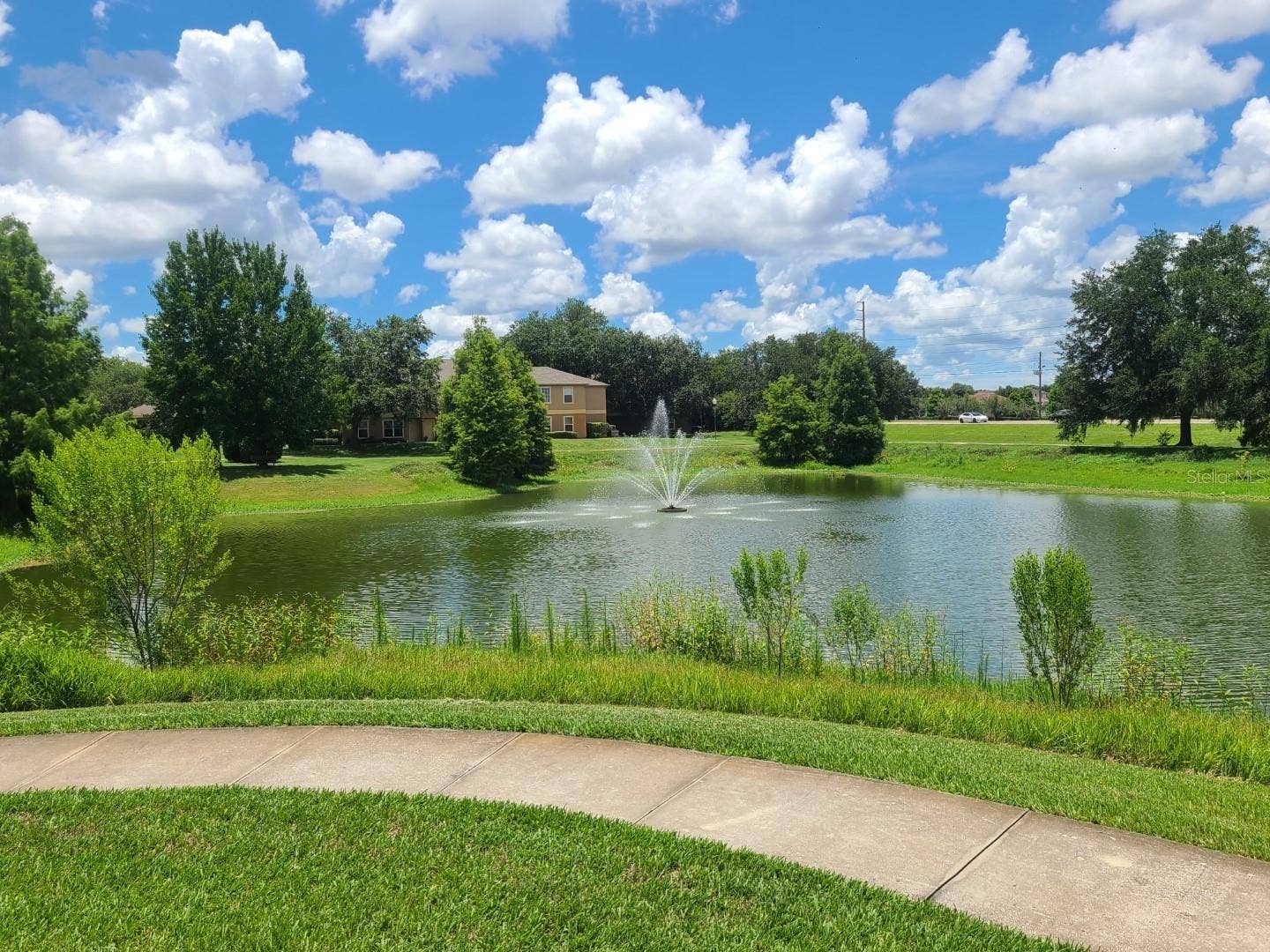 5901 BRICKLEBERRY LANE, #203, Zephyrhills, FL 33541