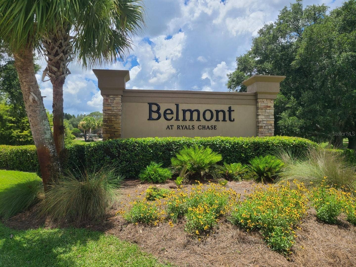 5901 BRICKLEBERRY LANE, #203, Zephyrhills, FL 33541