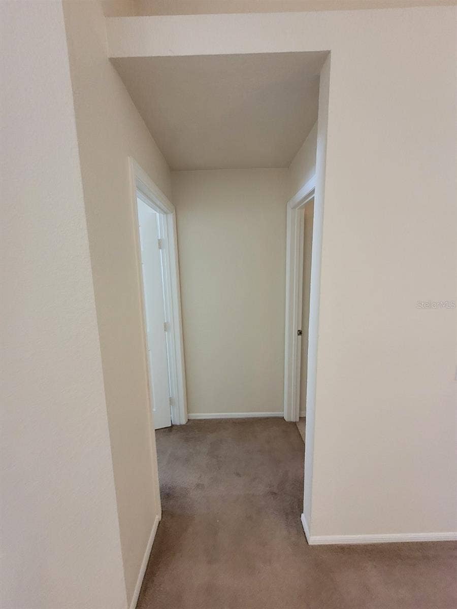5901 BRICKLEBERRY LANE, #203, Zephyrhills, FL 33541