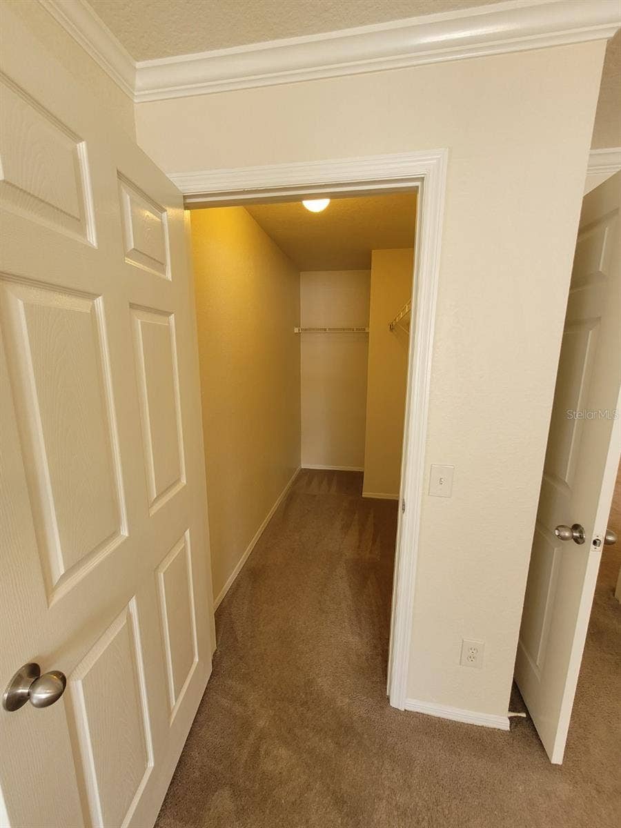 5901 BRICKLEBERRY LANE, #203, Zephyrhills, FL 33541