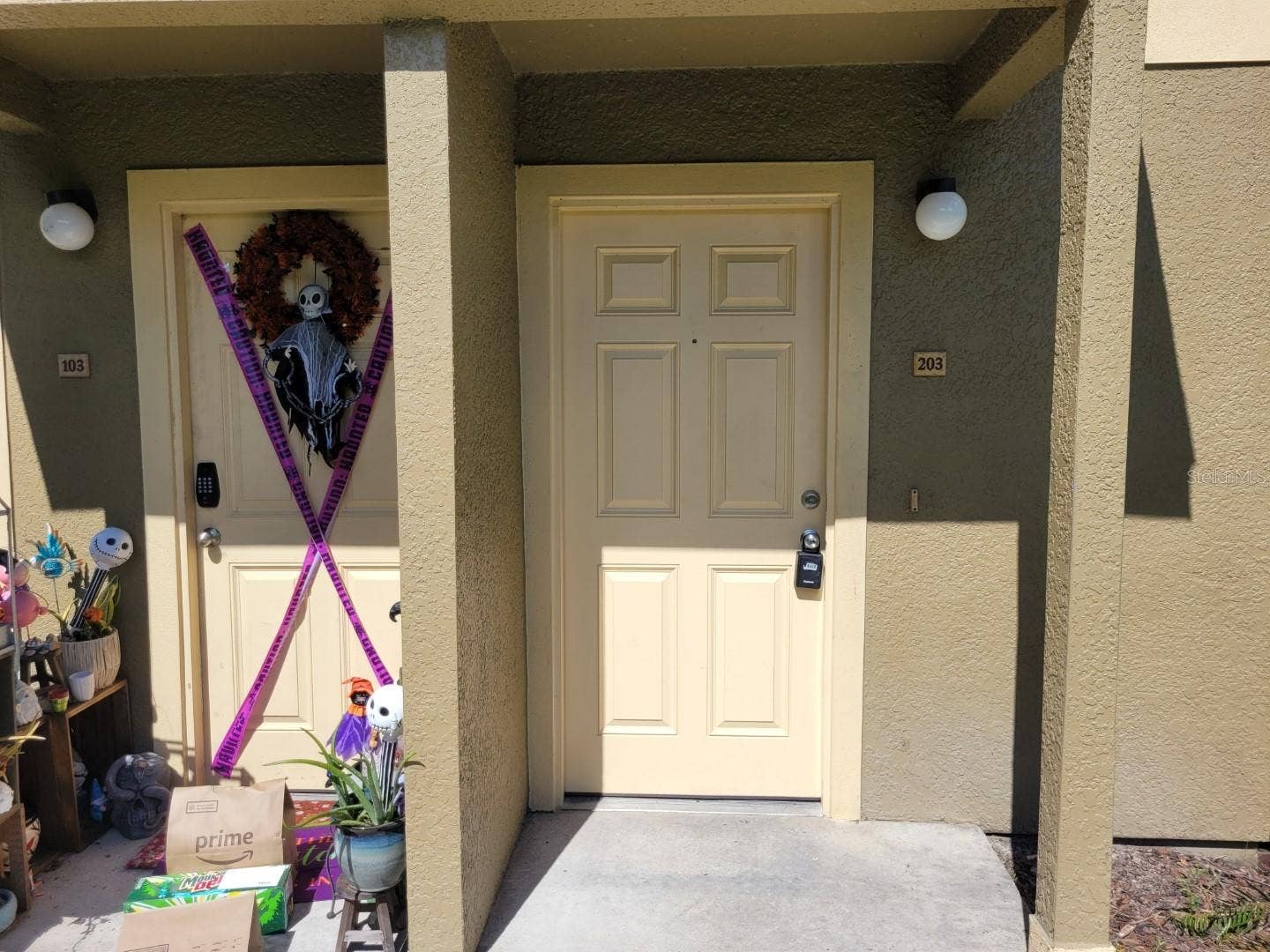 5901 BRICKLEBERRY LANE, #203, Zephyrhills, FL 33541