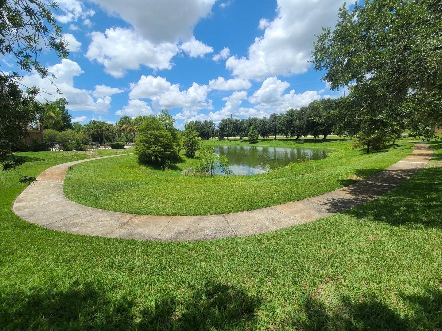 5901 BRICKLEBERRY LANE, #203, Zephyrhills, FL 33541
