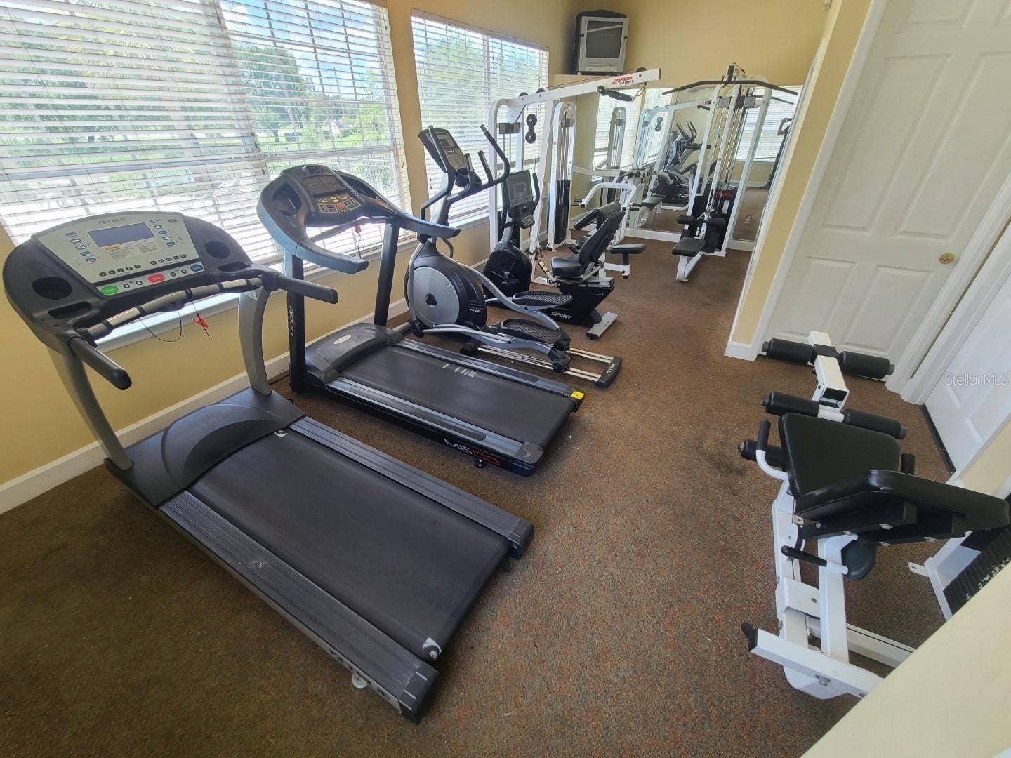 5901 BRICKLEBERRY LANE, #203, Zephyrhills, FL 33541