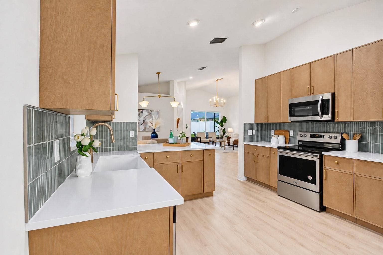 4218 BRANCHSIDE LANE, Wesley Chapel, FL 33543 4218 BRANCHSIDE LANE, Wesley Chapel, FL 33543