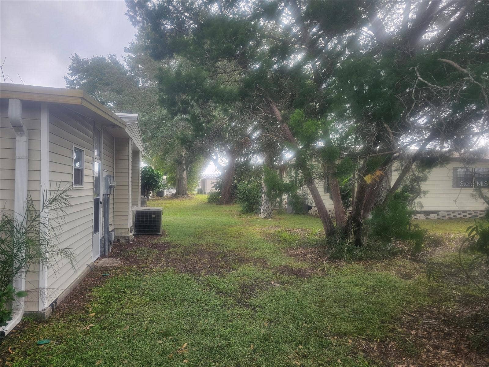 238 PELICAN DRIVE N, Oldsmar, FL 34677 Back Yard