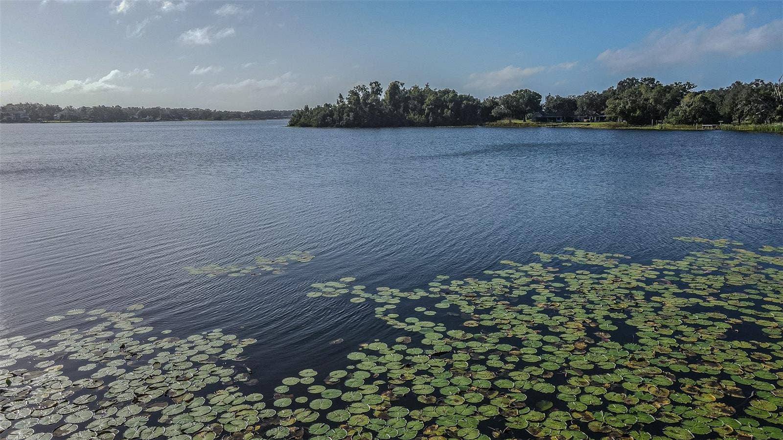2125 W BEARSS AVENUE, Tampa, FL 33618 2125 W BEARSS AVENUE, Tampa, FL 33618