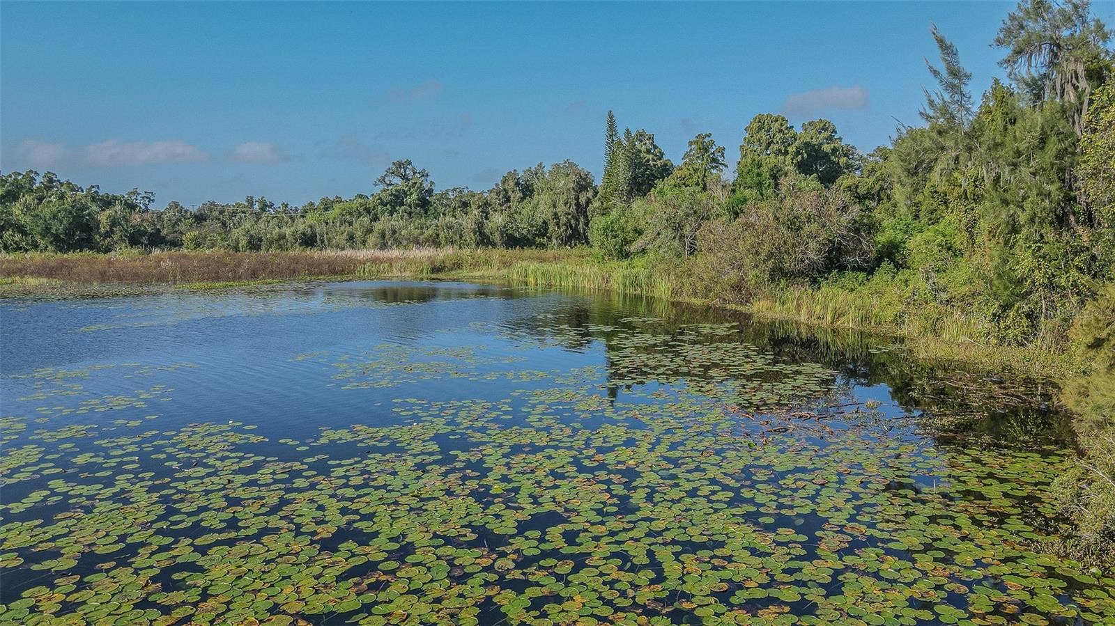 2125 W BEARSS AVENUE, Tampa, FL 33618 2125 W BEARSS AVENUE, Tampa, FL 33618