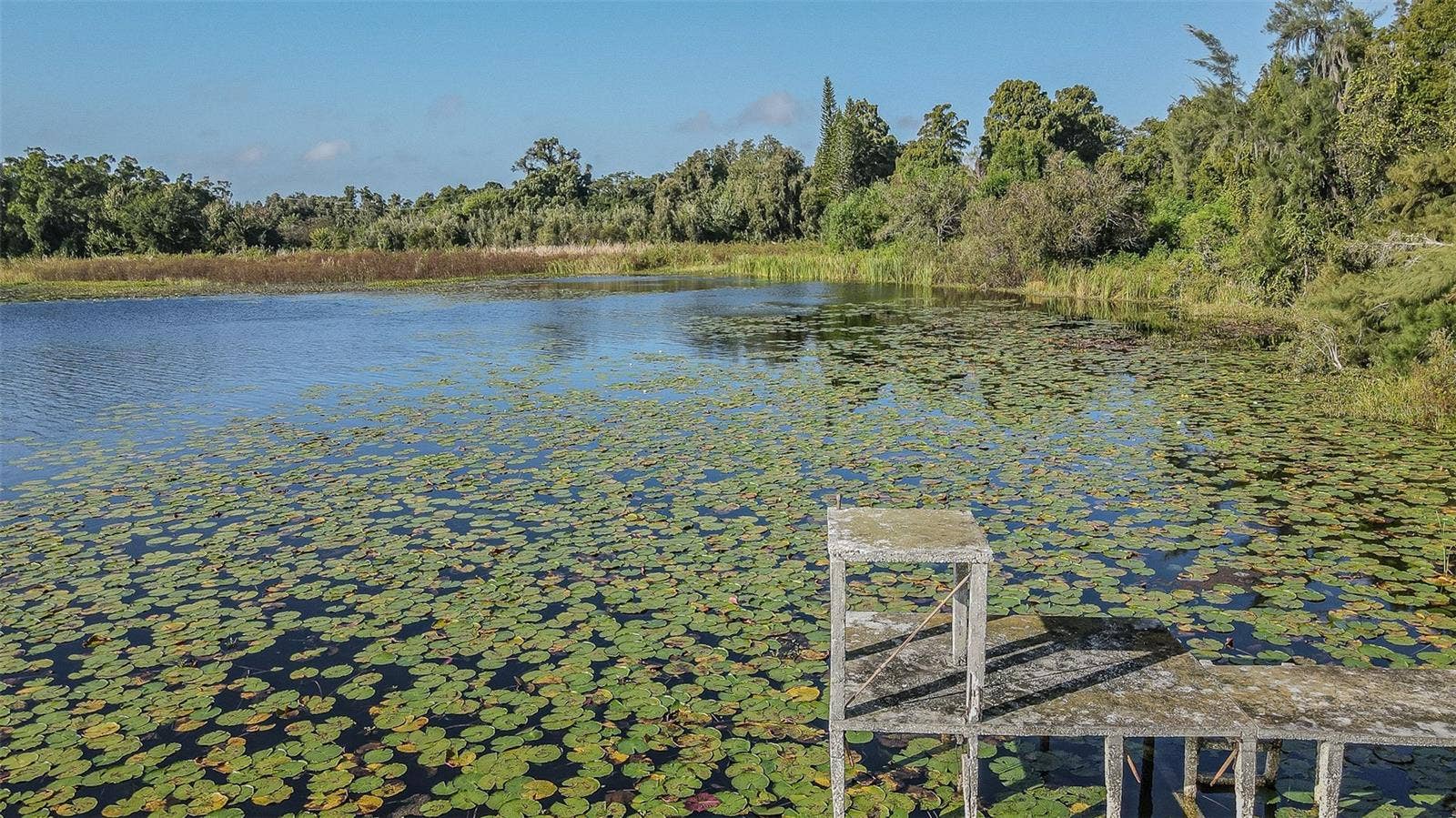 2125 W BEARSS AVENUE, Tampa, FL 33618 2125 W BEARSS AVENUE, Tampa, FL 33618