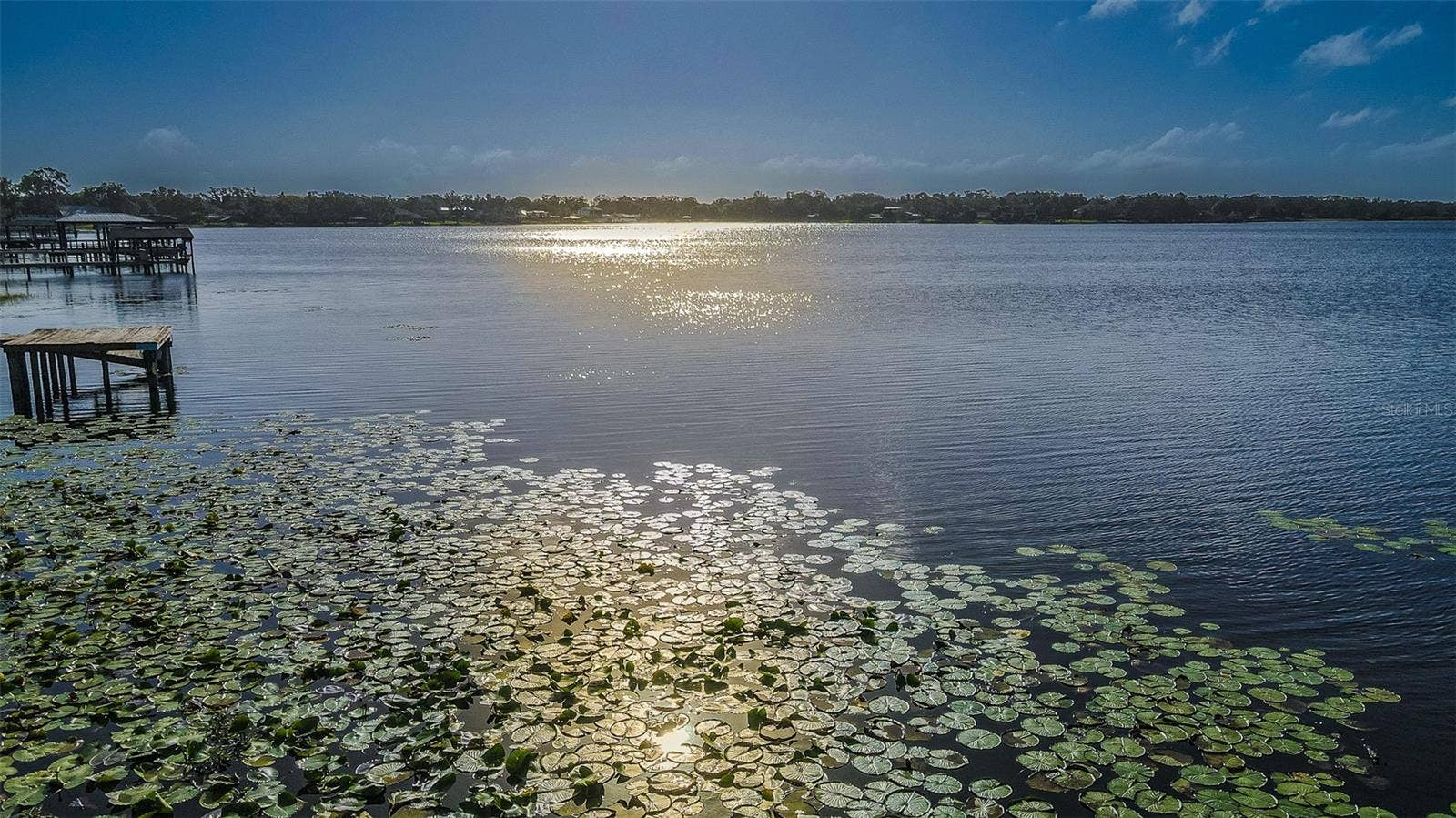 2125 W BEARSS AVENUE, Tampa, FL 33618 2125 W BEARSS AVENUE, Tampa, FL 33618