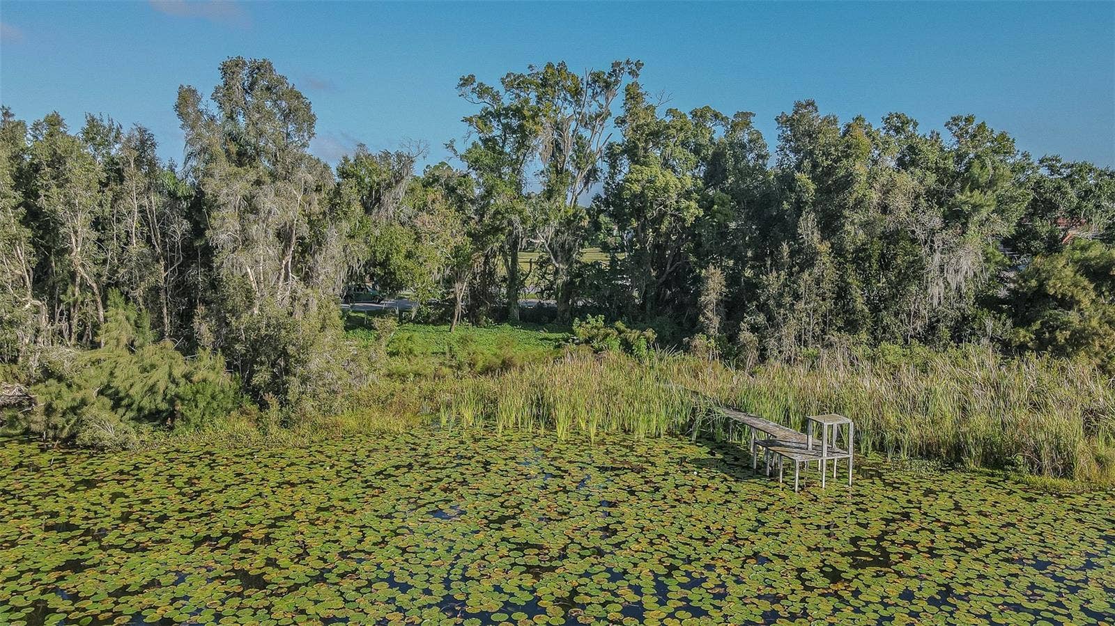 2125 W BEARSS AVENUE, Tampa, FL 33618 2125 W BEARSS AVENUE, Tampa, FL 33618