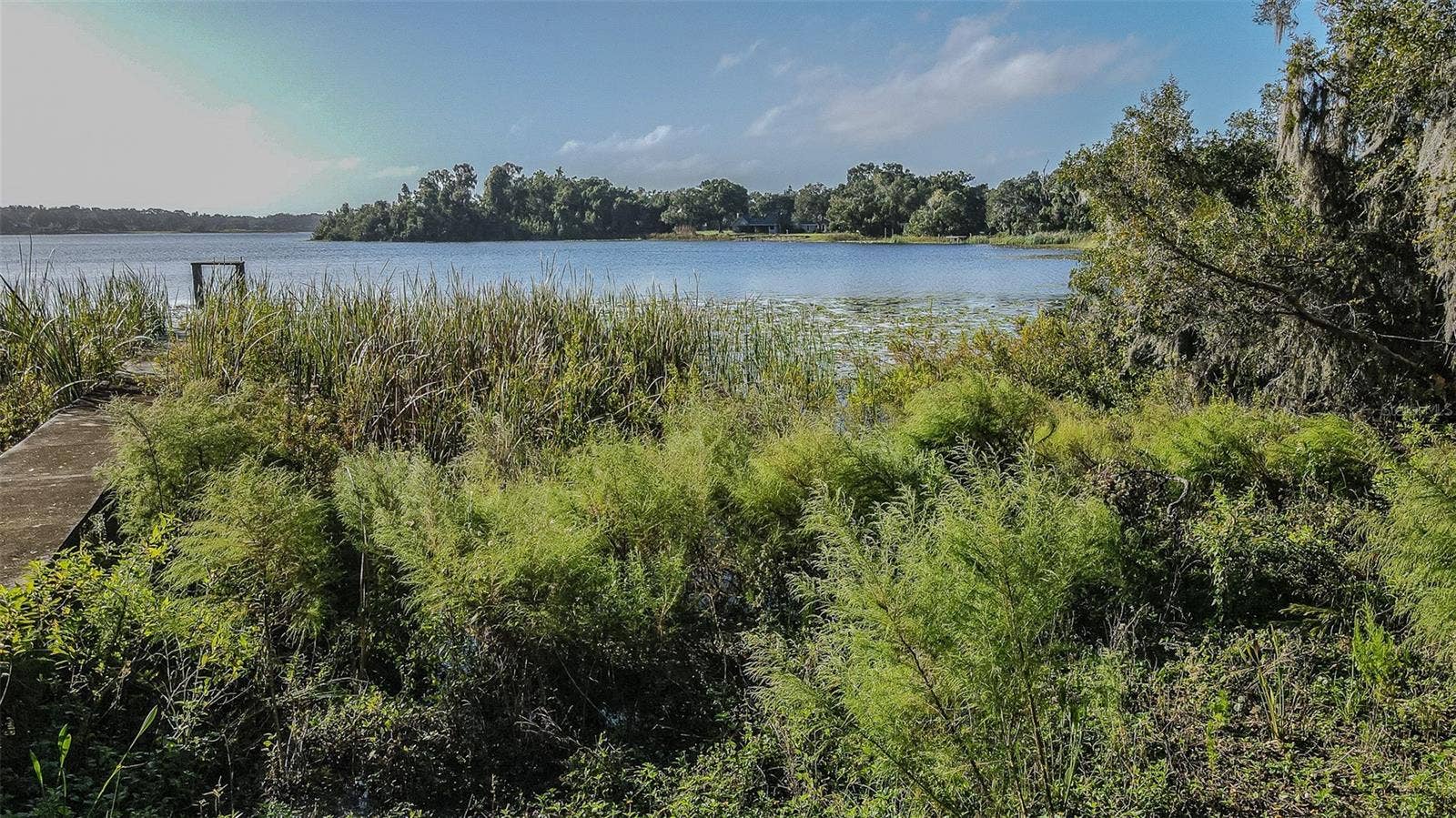 2125 W BEARSS AVENUE, Tampa, FL 33618 2125 W BEARSS AVENUE, Tampa, FL 33618