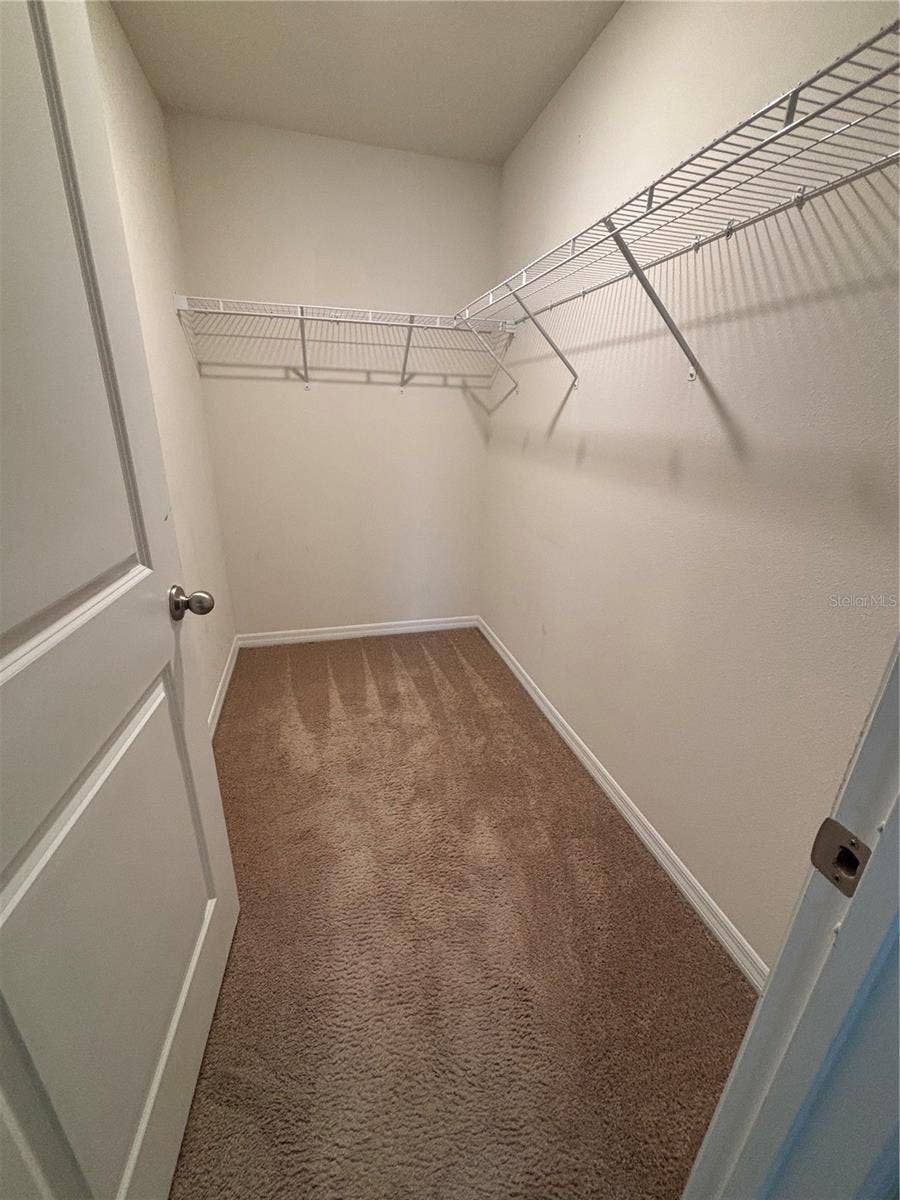 11453 STONE PINE STREET, Riverview, FL 33569 Primary Closet