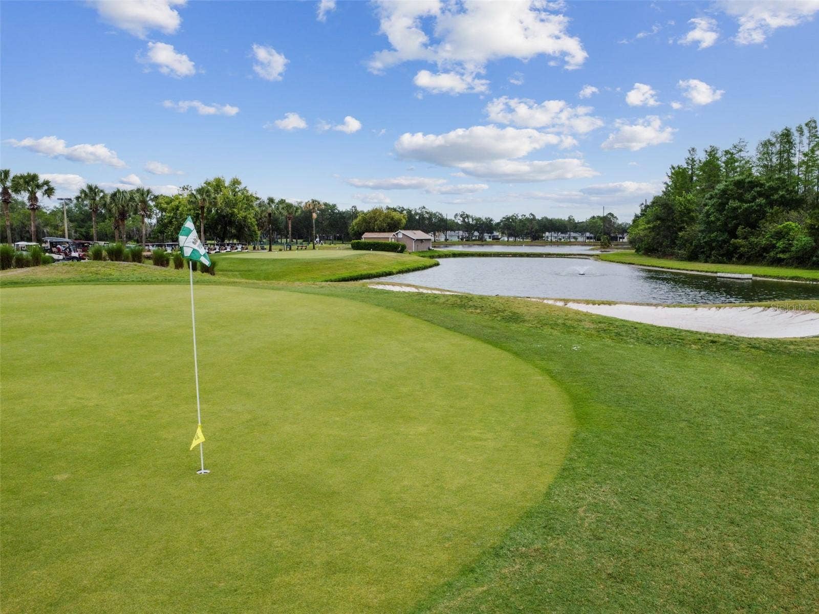 8002 SHADDOCK PLACE, Land O Lakes, FL 34637