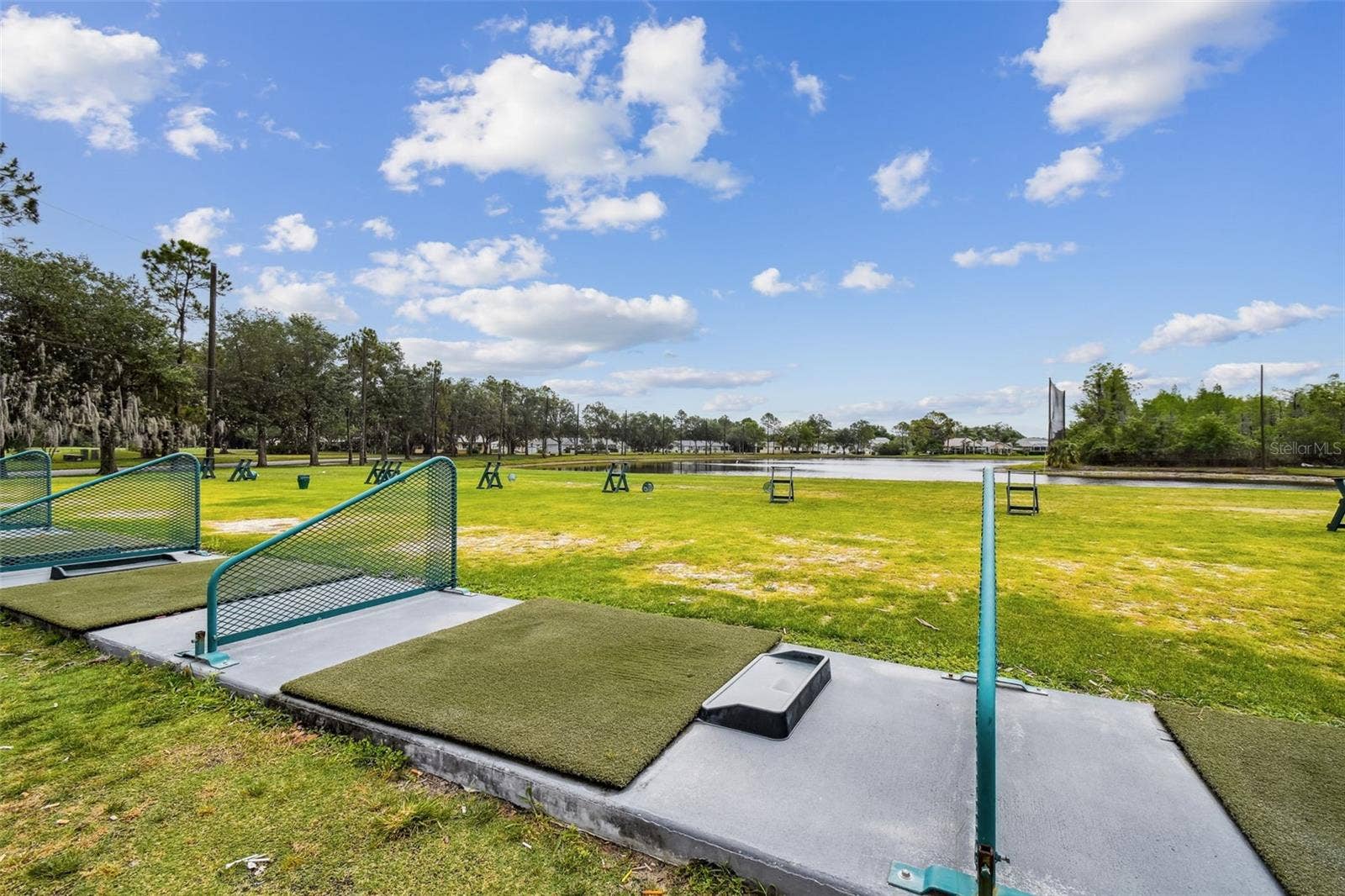8002 SHADDOCK PLACE, Land O Lakes, FL 34637