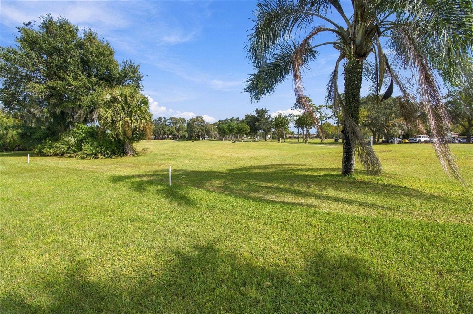 8002 SHADDOCK PLACE, Land O Lakes, FL 34637