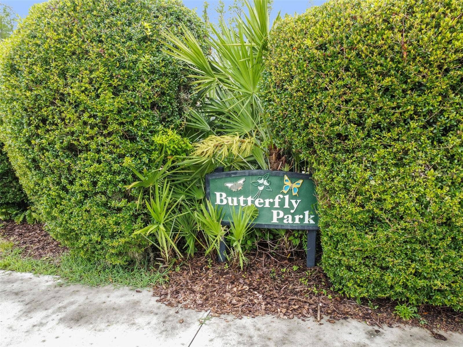 8002 SHADDOCK PLACE, Land O Lakes, FL 34637