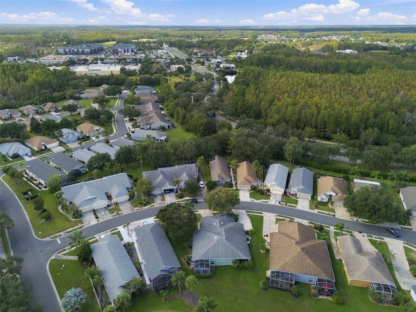 8002 SHADDOCK PLACE, Land O Lakes, FL 34637