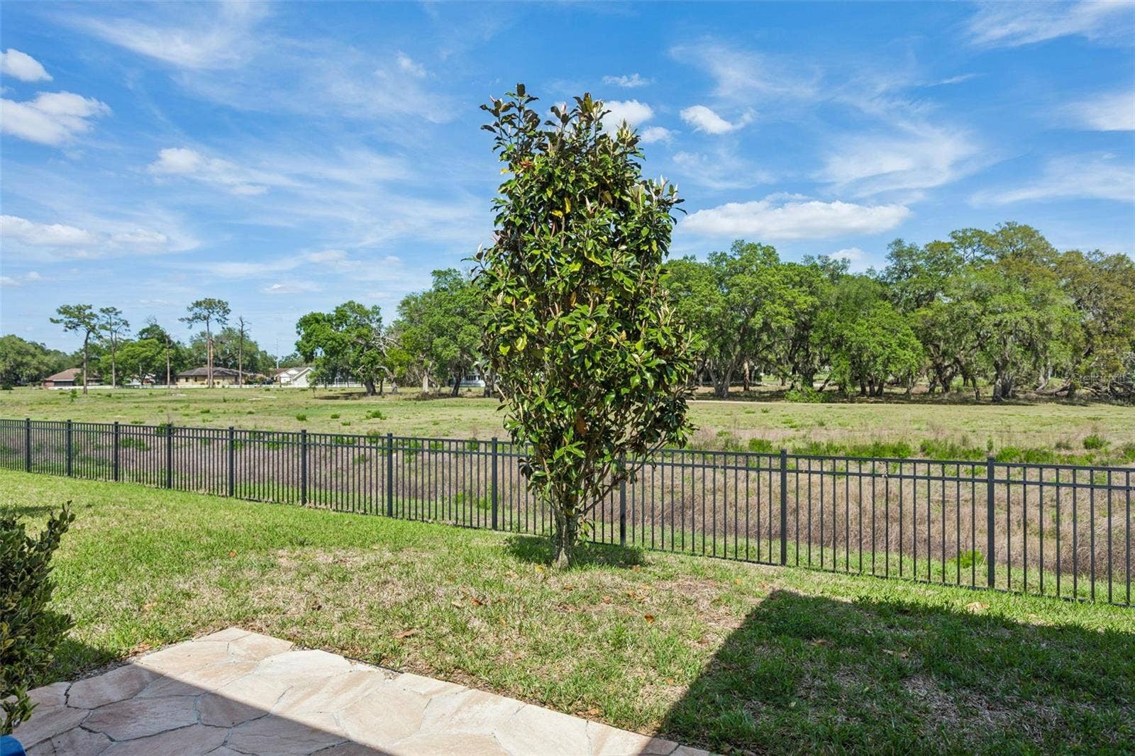 6382 BRADFORD WOODS DRIVE, Zephyrhills, FL 33542 6382 BRADFORD WOODS DRIVE, Zephyrhills, FL 33542