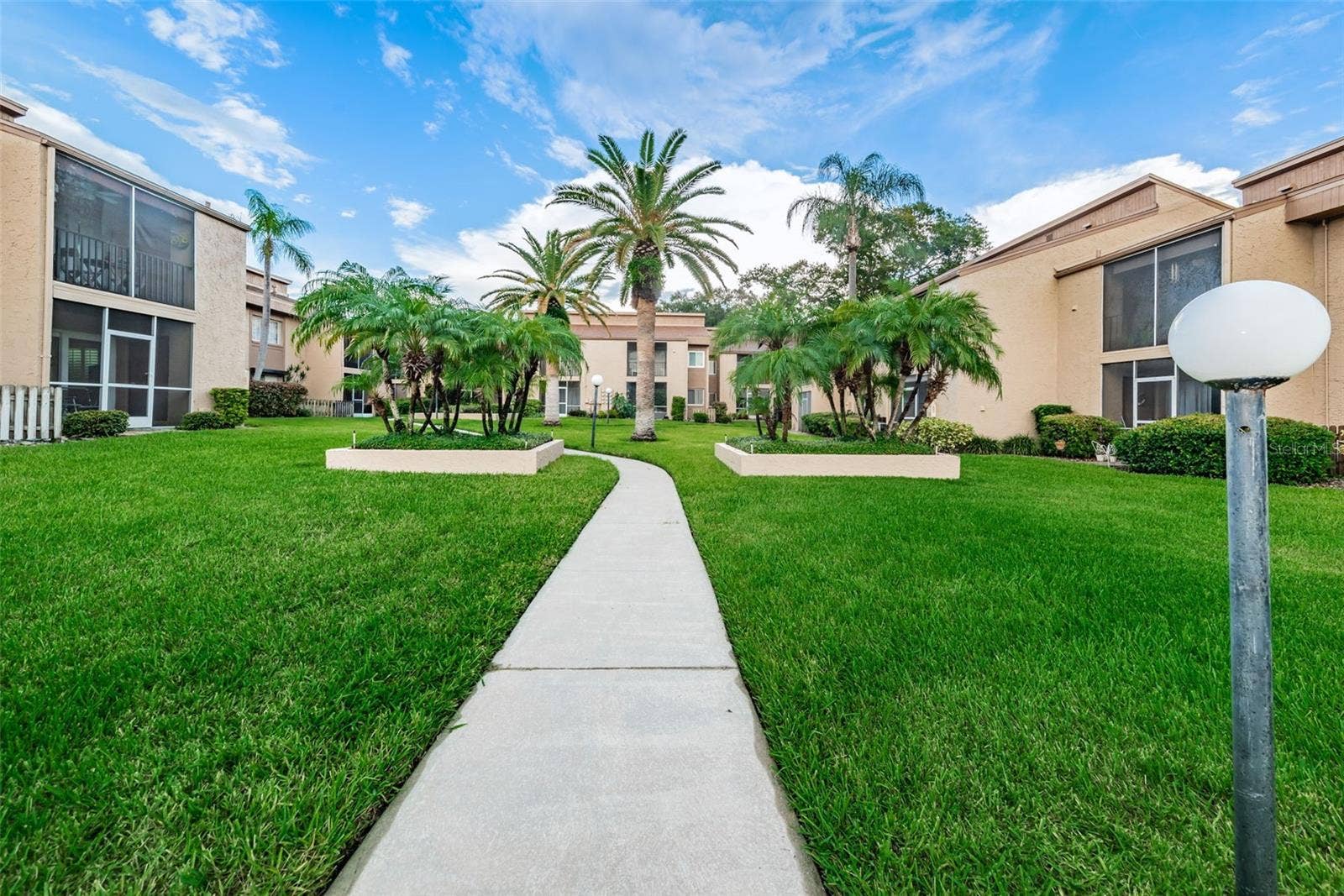 1575 GREENLEA DRIVE, #4, Clearwater, FL 33755 1575 GREENLEA DRIVE, #4, Clearwater, FL 33755