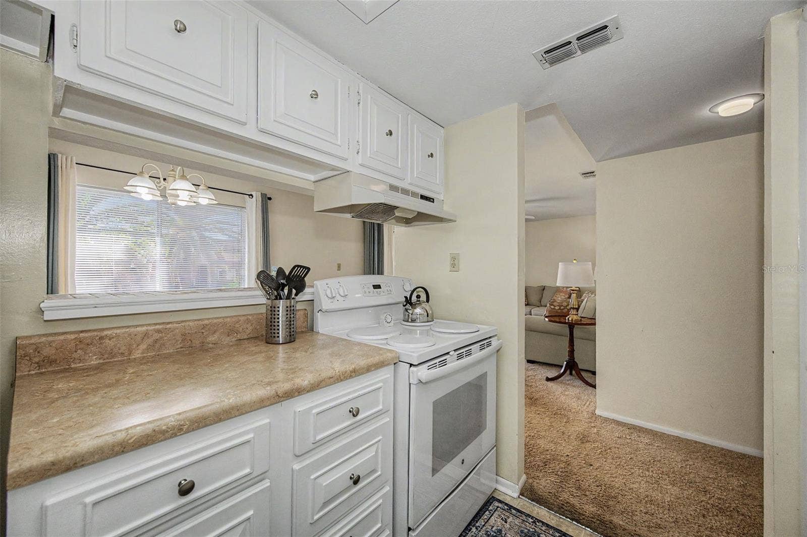1575 GREENLEA DRIVE, #4, Clearwater, FL 33755 1575 GREENLEA DRIVE, #4, Clearwater, FL 33755