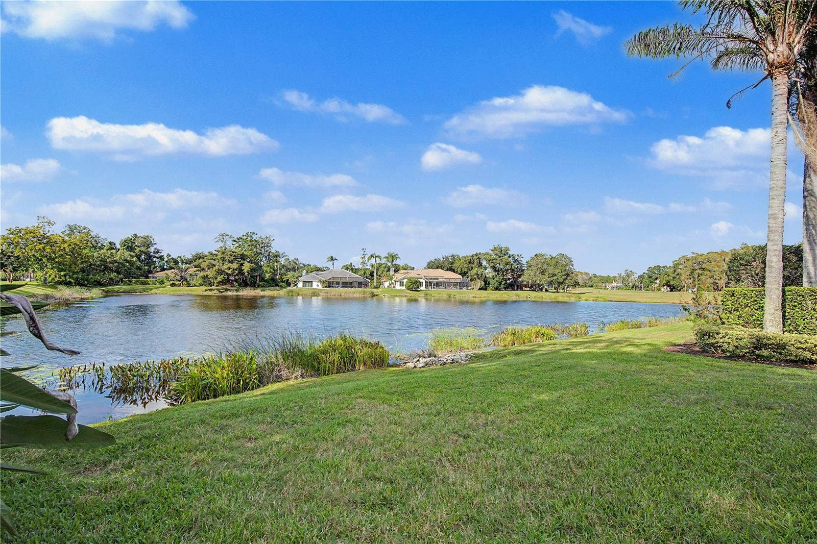 1334 FALLSMEADE COURT, Oldsmar, FL 34677 1334 FALLSMEADE COURT, Oldsmar, FL 34677
