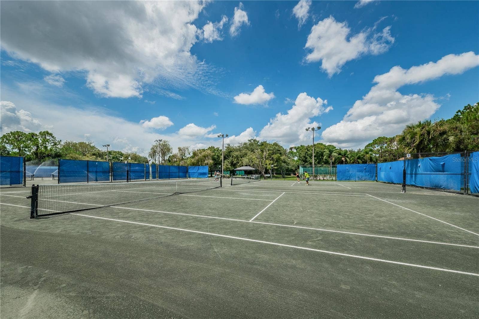 1334 FALLSMEADE COURT, Oldsmar, FL 34677 1334 FALLSMEADE COURT, Oldsmar, FL 34677